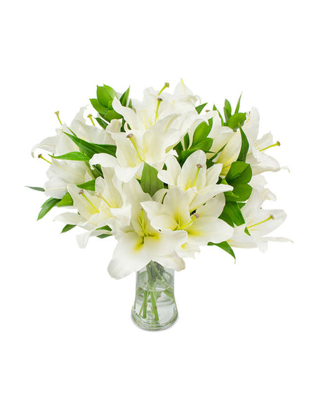 Mono One Shoulder Ruffle  Mini Dress